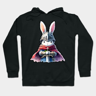 Rabbit Knight Hoodie